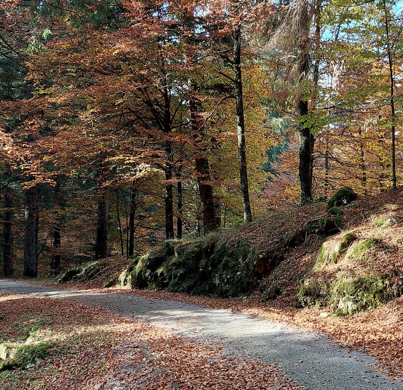 Discesa dalla Candaglia