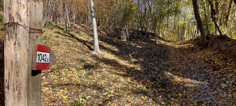 Anteprima Sulle colline attorno a Vittorio Veneto