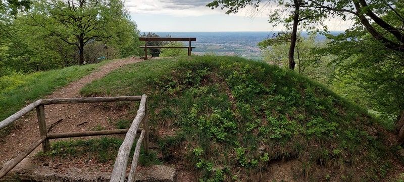 Monte Sulder