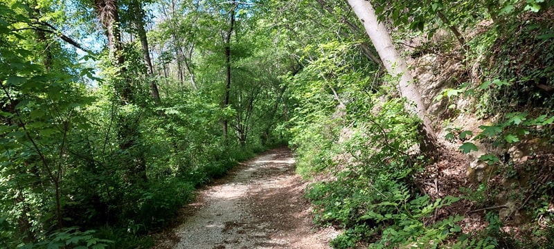 Anteprima Col de Spin, Collalto e Monte Sulder da Cornuda