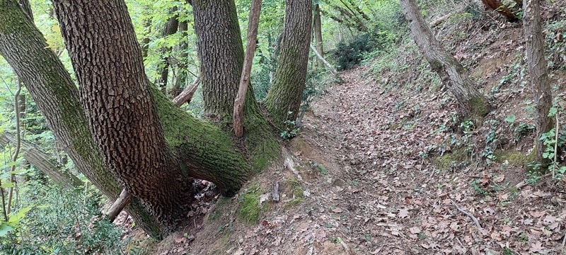 Verso il Col de Spin