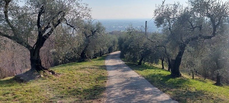 Discesa verso Coste di Maser