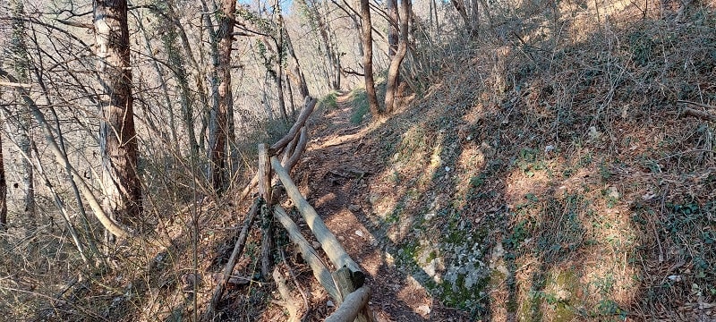 Sentiero 56 verso la sommità