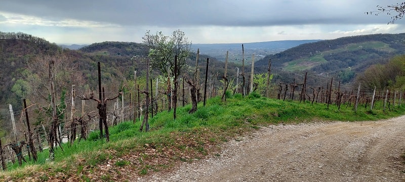 Panorama Refrontolo