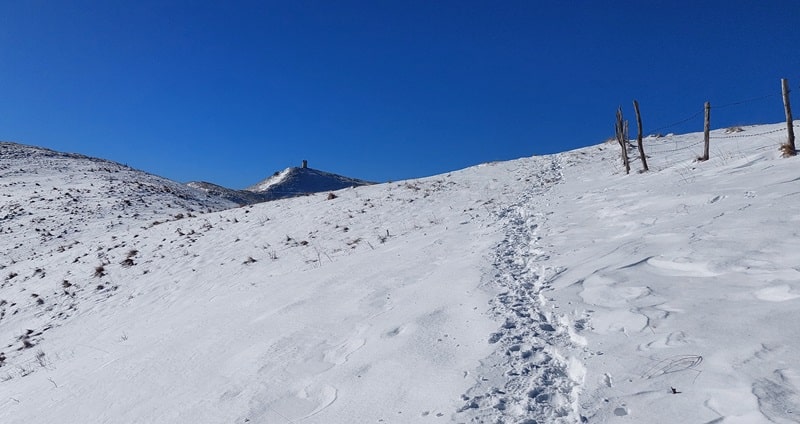 Verso Cima della Mandria