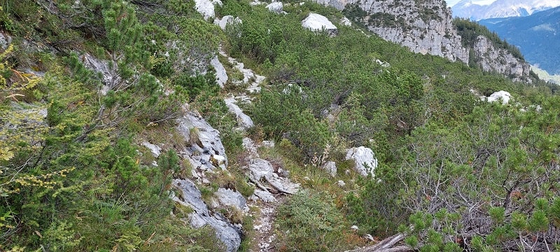 Sentiero Col de Michiel