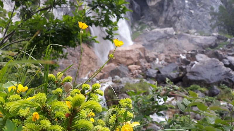 Anteprima Cascata delle Comelle