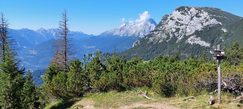 Panorama verso Agordo.